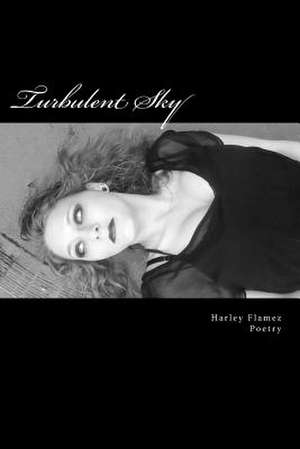 Turbulent Sky de Harley Flamez