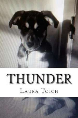 Thunder de Laura Toich