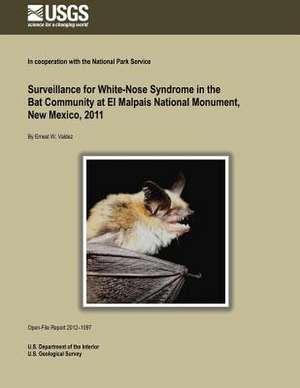 Surveillance for White-Nose Syndrome in the Bat Community at El Malpais National Monument, New Mexico, 2011 de U. S. Department of the Interior