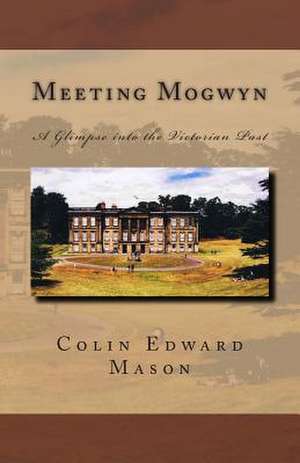 Meeting Mogwyn de MR Colin Edward Mason