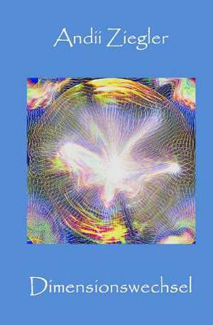 Dimensionswechsel de Andii Ziegler