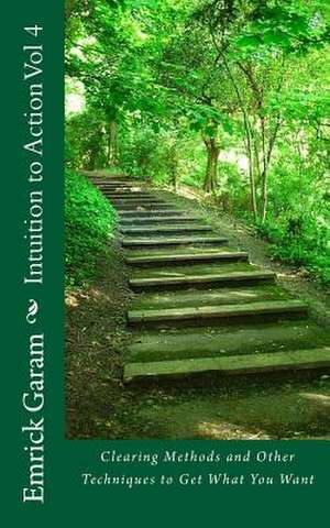 Intuition to Action Vol 4 de MR Emrick Garam