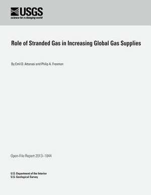 Role of Stranded Gas in Increasing Global Gas Supplies de U. S. Department of the Interior