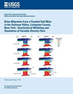 Brine Migration from a Flooded Salt Mine in the Genesee Valley, Livingston County, New York de U. S. Department of the Interior