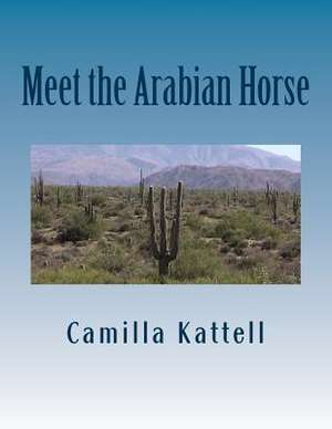 Meet the Arabian Horse de Camilla Kattell