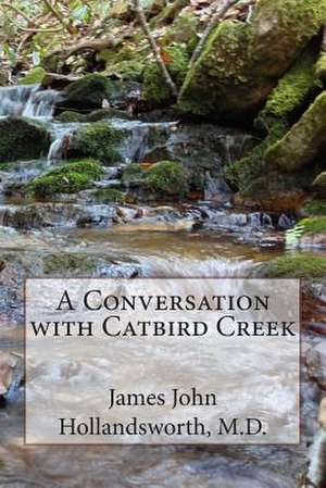 A Conversation with Catbird Creek de Dr James John Hollandsworth