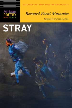 Stray de Bernard Farai Matambo