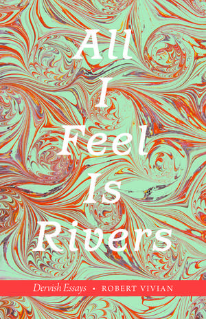 All I Feel Is Rivers: Dervish Essays de Robert Vivian