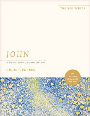 John: A Devotional Commentary de Chris Tiegreen
