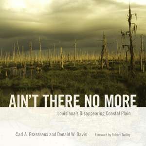 Ain't There No More: Louisiana's Disappearing Coastal Plain de Carl A. Brasseaux