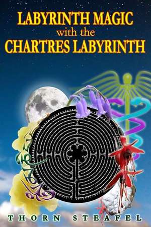 Labyrinth Magic with the Chartres Labyrinth de Thorn Steafel