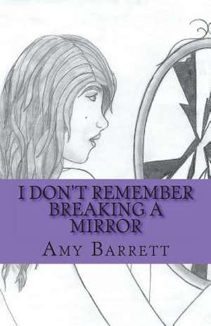 I Don't Remember Breaking a Mirror de Amy Barrett