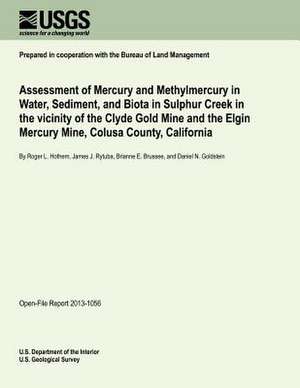 Assessment of Mercury and Methylmercury in Water, Sediment, and Biota in Sulphur Creek in the Vicinity of the Clyde Gold Mine and the Elgin Mercury Mi de U. S. Department of the Interior