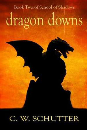 Dragon Downs de C. W. Schutter