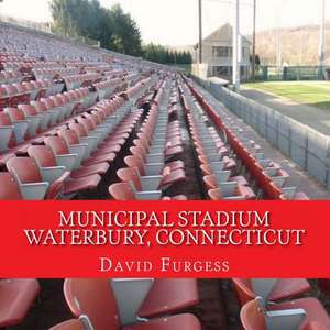 Municipal Stadium Waterbury, Connecticut de David Furgess