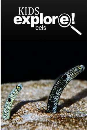 Eels - Kids Explore de Kids Explore!