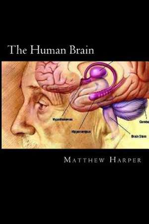 The Human Brain de Matthew Harper