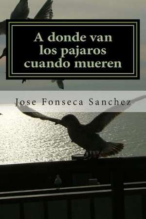 A Donde Van Los Pajaros Cuando Mueren de Sanchez, Jose Ramon Fonseca