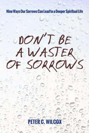 Don't Be a Waster of Sorrows de Peter C. Wilcox