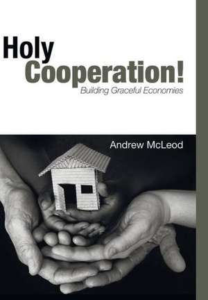 Holy Cooperation!: U2 in Theological Perspective de Andrew McLeod