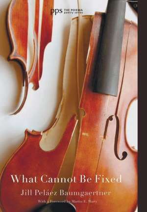 What Cannot Be Fixed de Jill Pelaez Baumgaertner