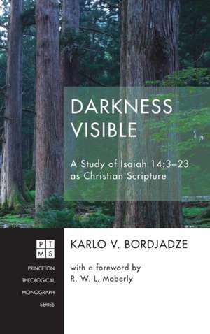 Darkness Visible de Karlo V. Bordjadze