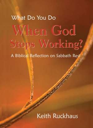 When God Stops Working de Keith Ruckhaus