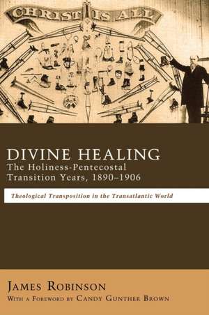 Divine Healing de James Robinson