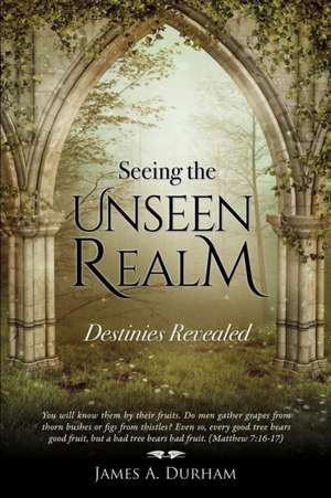 Seeing the Unseen Realm de James A. Durham