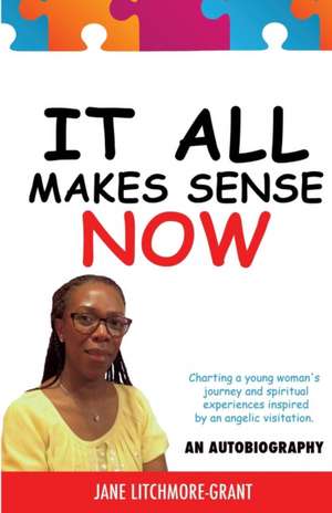 It All Makes Sense Now de Jane Litchmore-Grant