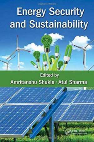 Energy Security and Sustainability de Amritanshu Shukla