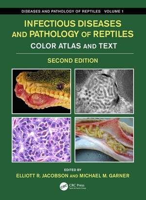 Infectious Diseases and Pathology of Reptiles: Color Atlas and Text, Diseases and Pathology of Reptiles Volume 1 de Elliott R. Jacobson