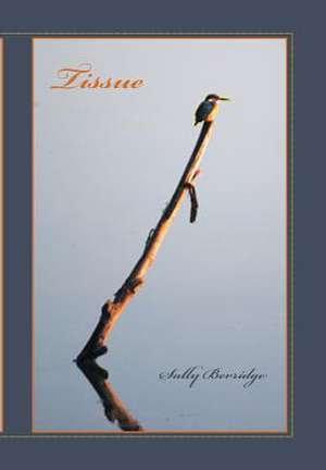 Tissue de Sally Berridge