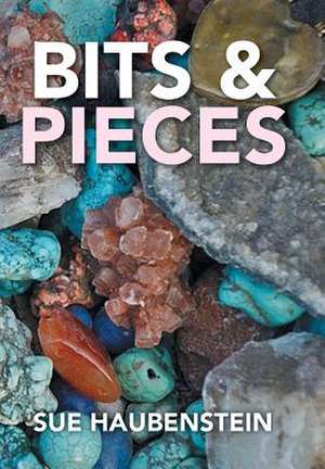 Bits & Pieces de Sue Haubenstein