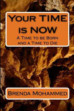 Your Time Is Now de Mrs Brenda C. Mohammed