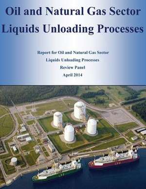 Oil and Natural Gas Sector Liquids Unloading Processes de U. S. Environmental Protection Agency