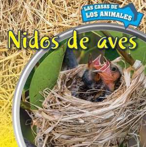 Nidos de Aves (Inside Bird Nests) de Ethan Danielson