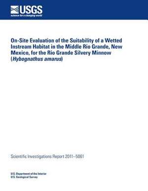 On-Site Evaluation of the Suitability of a Wetted Instream Habitat in the Middle Rio Grande, New Mexico, for the Rio Grande Silvery Minnow (Hybognathu de U. S. Department of the Interior