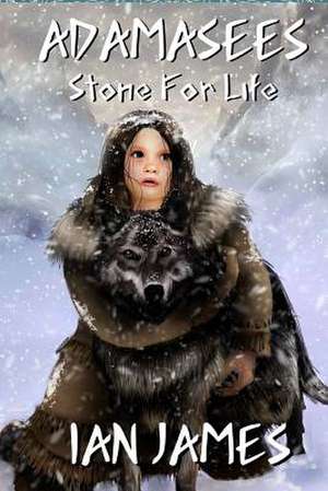 Stone for Life de Ian James