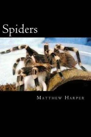 Spiders de Matthew Harper