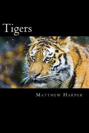 Tigers de Matthew Harper