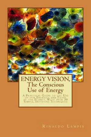 Energy Vision, the Conscious Use of Energy de Rinaldo Lampis