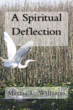 A Spiritual Deflection de Marisa L. Williams