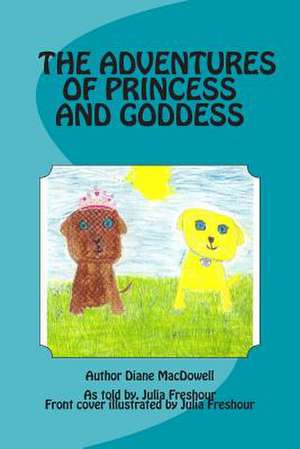 Adventures of Princess and Goddess de Diane MacDowell