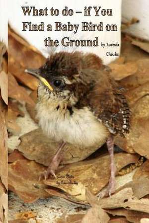 What to Do- If You Find a Baby Bird on the Ground de Lucinda Choules