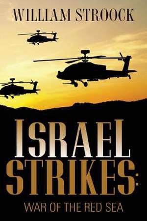 Israel Strikes de William Stroock