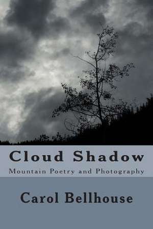 Cloud Shadow de Carol Bellhouse