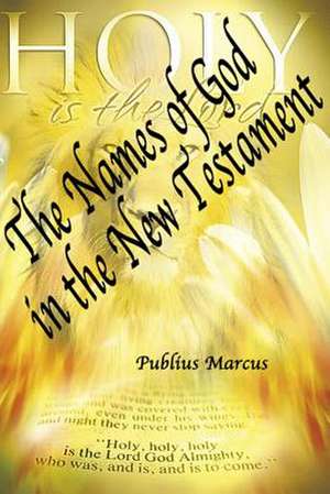 The Names of God in the New Testament de Publius Marcus