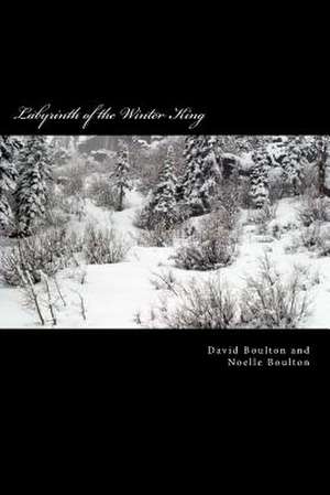 Labyrinth of the Winter King de MR David Boulton