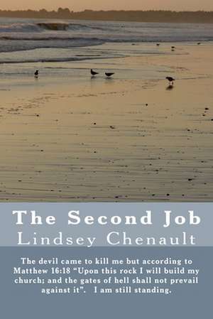 The Second Job de Lindsey Chenault